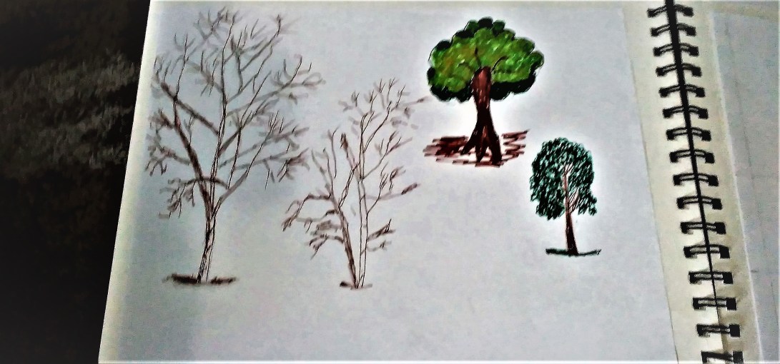 Trees